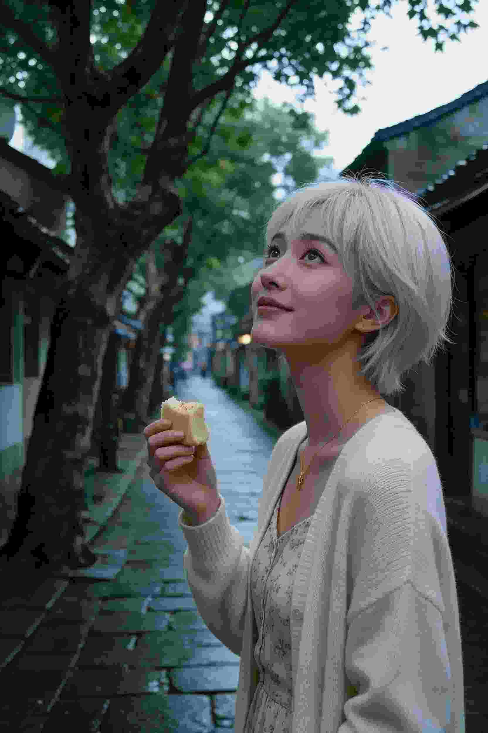 七龙珠
